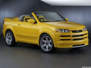 2002 Isuzu Axiom XSR