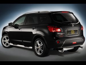 2009 Cobra Nissan Qashqai 2