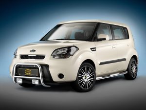 2010 Cobra Kia Soul