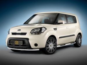 2010 Cobra Kia Soul