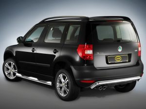 2010 Cobra Skoda Yeti