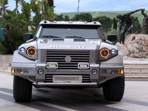 2010 Dartz Prombron Kombat T98 ACC