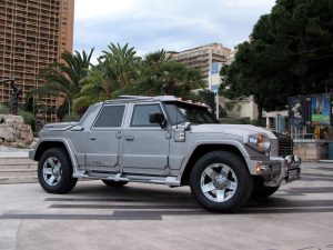 2010 Dartz Prombron Kombat T98 ACC