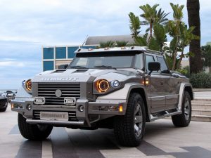 2010 Dartz Prombron Kombat T98 ACC