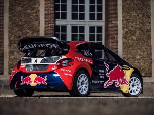 2015 Peugeot 208 Rally Car