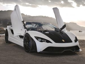 2012 Tushek Renovatio T500