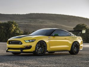 2016 Shelby Mustang GT350 Ole Yeller