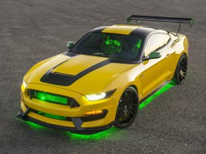2016 Shelby Mustang GT350 Ole Yeller