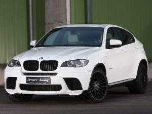 2011 Senner Bmw X6 xDrive 40d