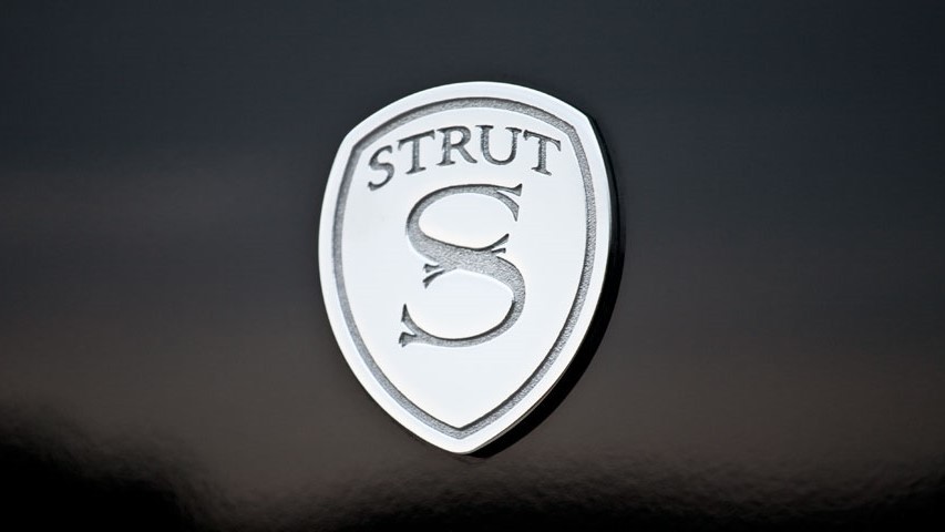 STRUT Logo