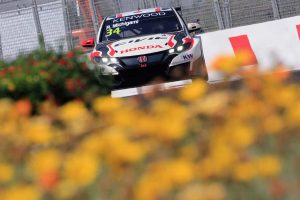 WTCC 2017 - Marrakech - MICHIGAMI Ryo