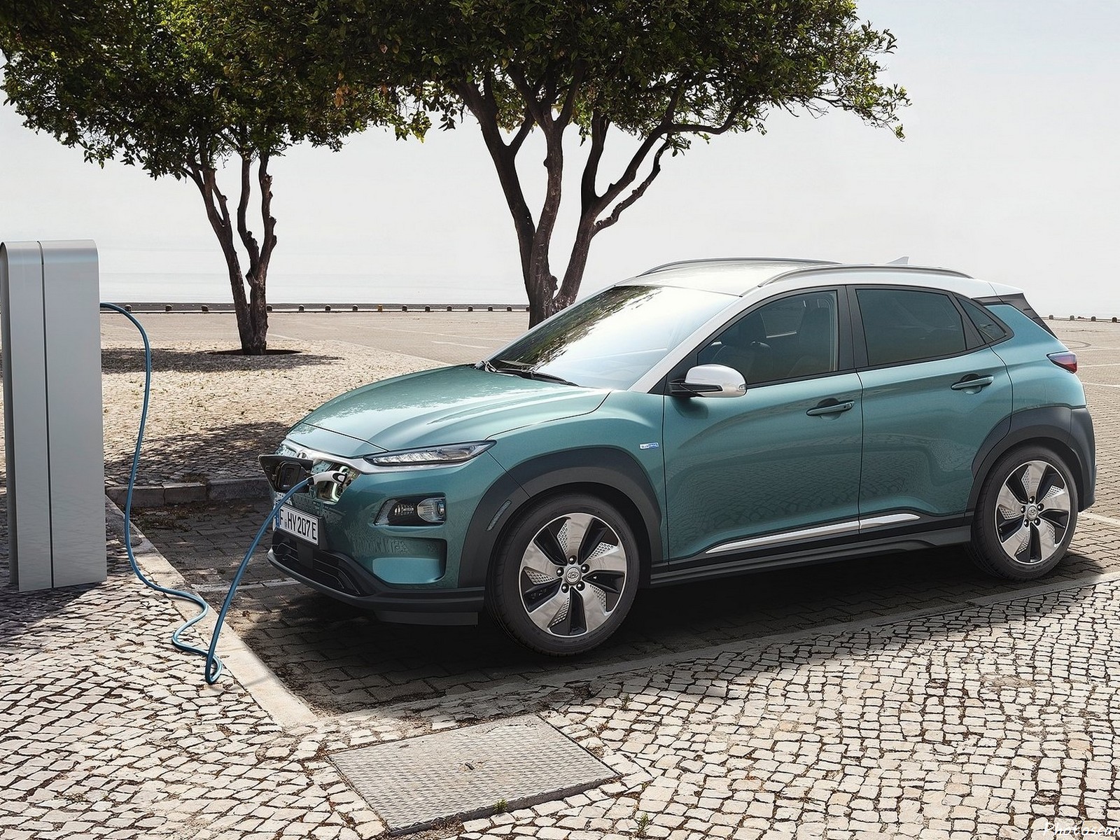 Hyundai kona electric 2018 Hyundai kona electric 2018