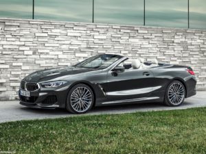 BMW Serie 8 Cabriolet 2019