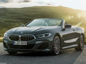 BMW Serie 8 Cabriolet 2019