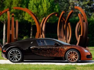 Bugatti Veyron Grand Sport Venet 2012