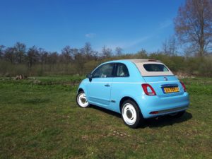Fiat 500 Spiaggina 58 2019