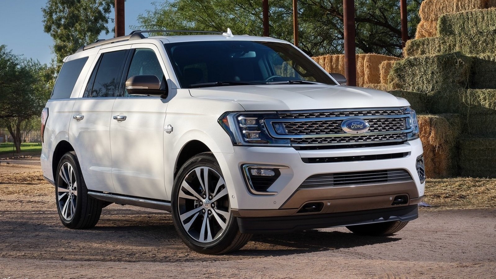 Ford Expedition 2020