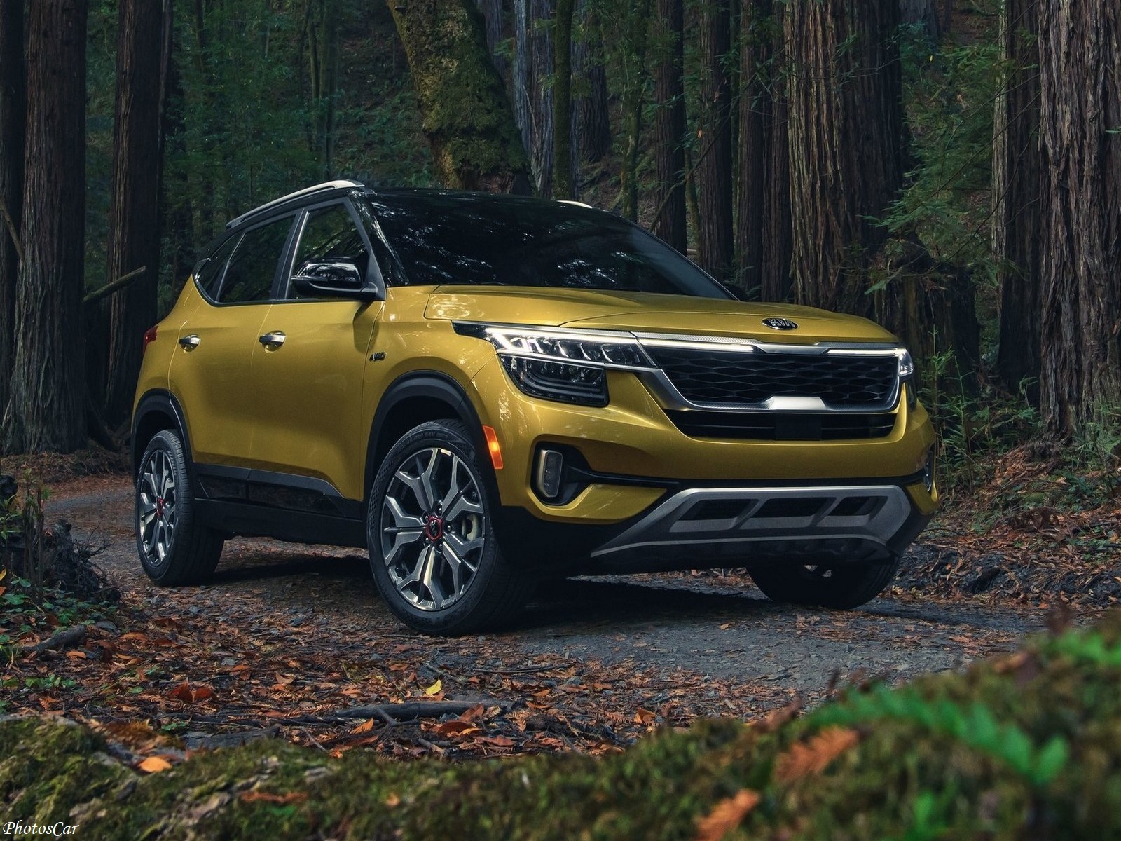 Kia Seltos 2021