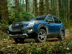 Subaru Forester Wilderness 2022