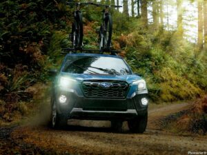 Subaru Forester Wilderness 2022