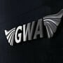 Gullwing America Logo
