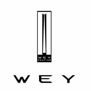 Logo WEY