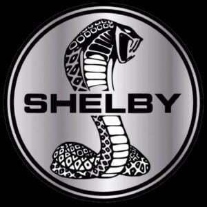 Logo Shelby