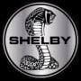 Logo Shelby