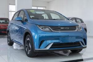 BYD Dolphin Fashion Version 2023
