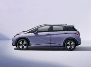 BYD Dolphin Fashion Version 2023