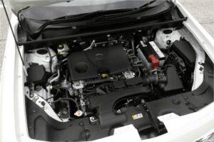 Mitsuoka Buddy 2020