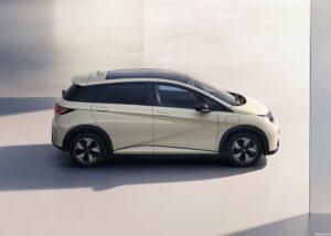 BYD Dolphin Édition Honor 2024