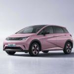BYD Dolphin Édition Honor 2024