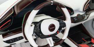 Mansory Pugnator 2024