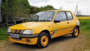 Peugeot 205 Rallye